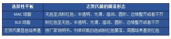 志贺氏菌 志贺氏菌