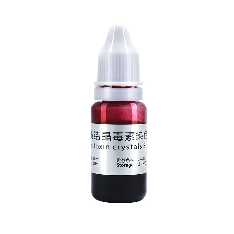 029063 蛋白质毒素结晶体染色液 10mL/支 - 产品主图5
