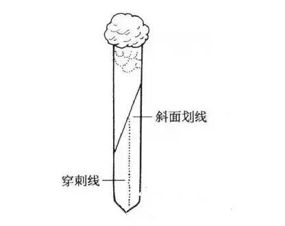 斜面接种法