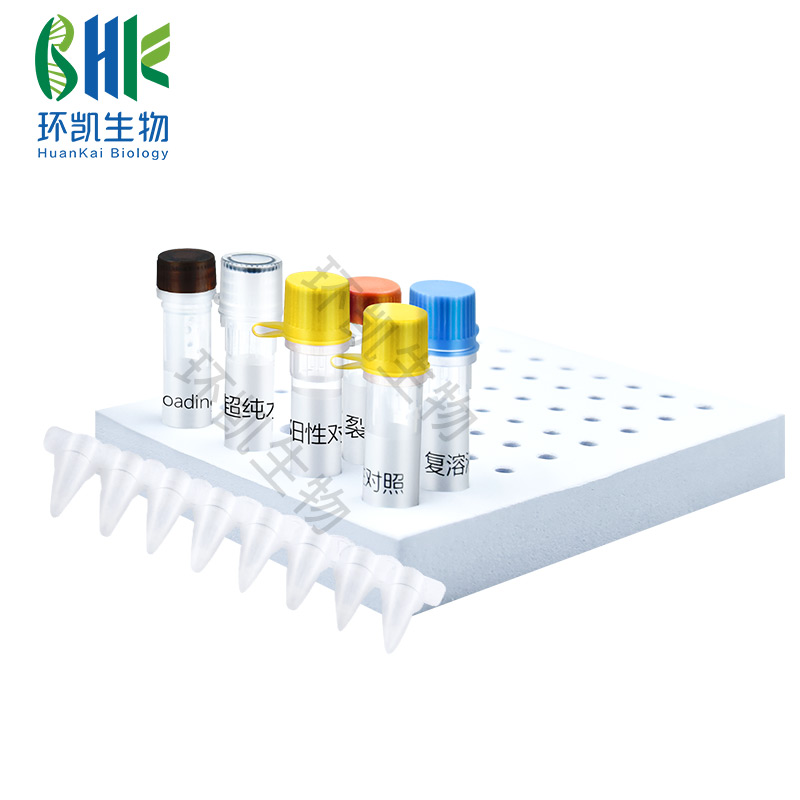 KJD01P 阪崎克罗诺杆菌双重PCR检测试剂盒 24test - 产品主图5