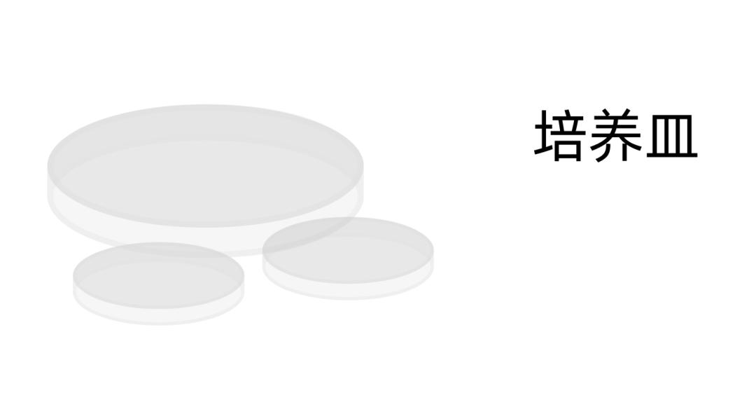 培养皿