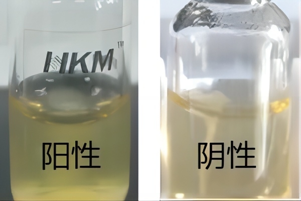 动力实验