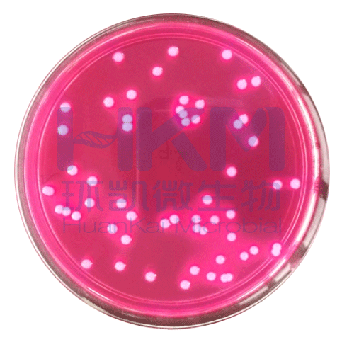食品微生物检验 GB4789.6-2016 致泻大肠埃希氏菌检验及注意事项