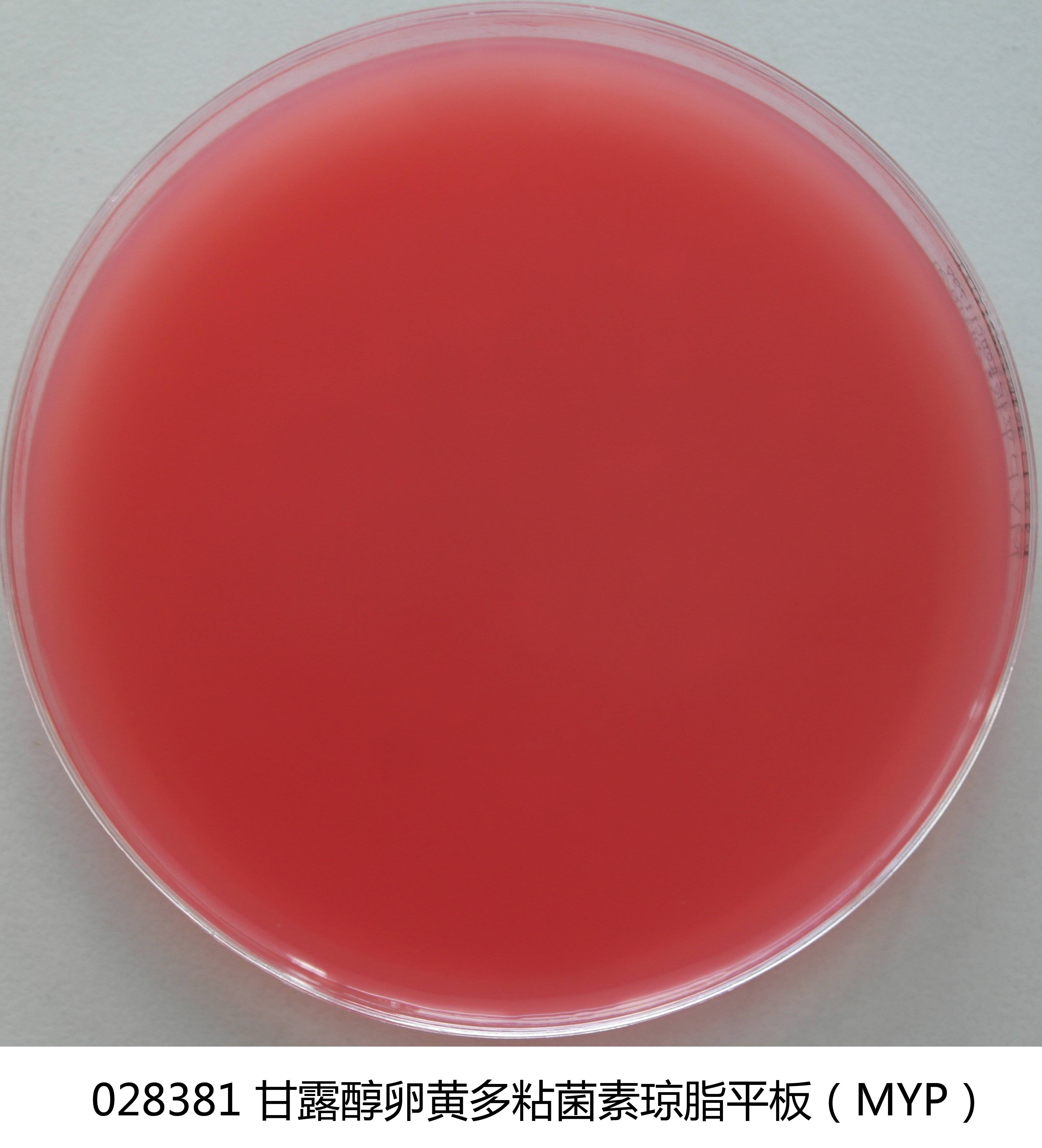 028381 MYP琼脂平板培养基 90mm×20个 - 产品主图1