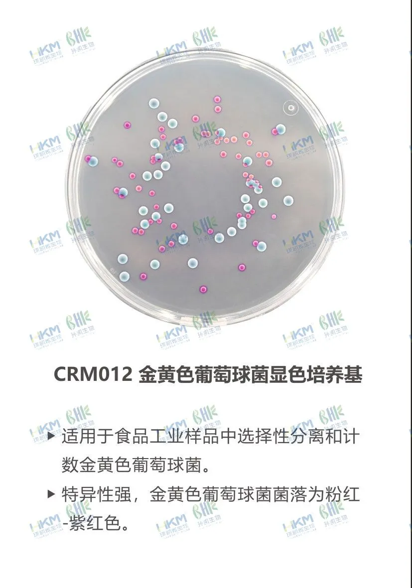 CRM012 金黄色葡萄球菌显色培养基
