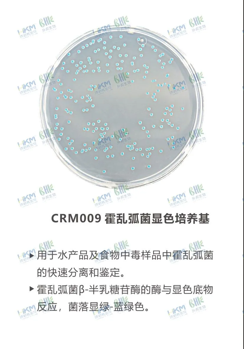 CRM009 霍乱弧菌显色培养基