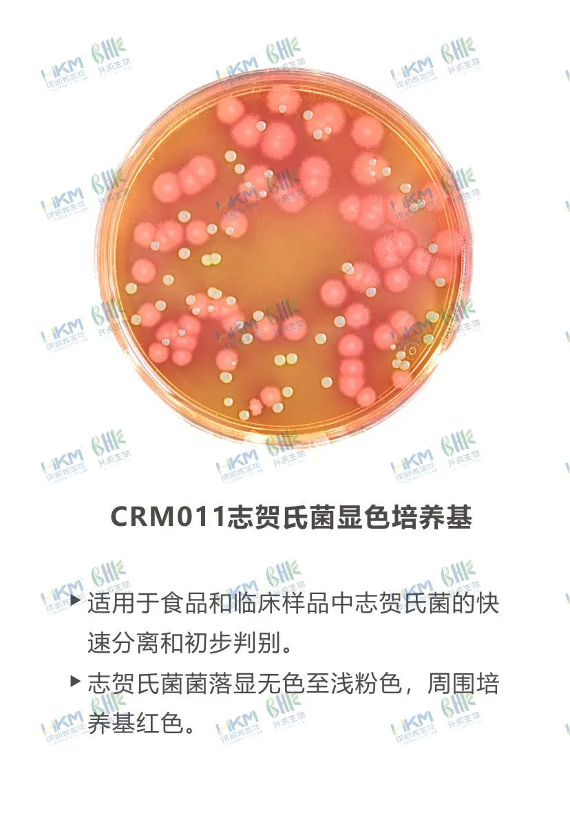 CRM011 志贺氏菌显色培养基
