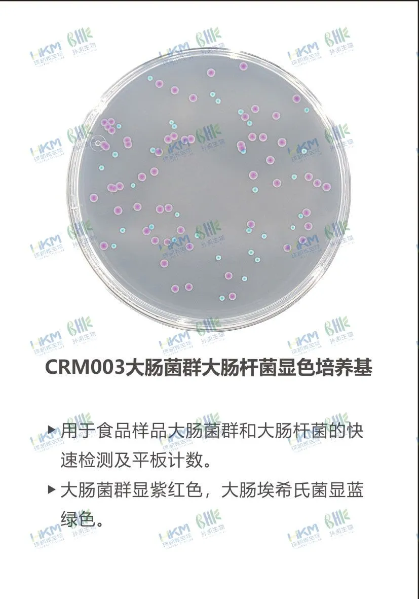 CRM003 大肠菌群大肠杆菌(ECC)显色培养基