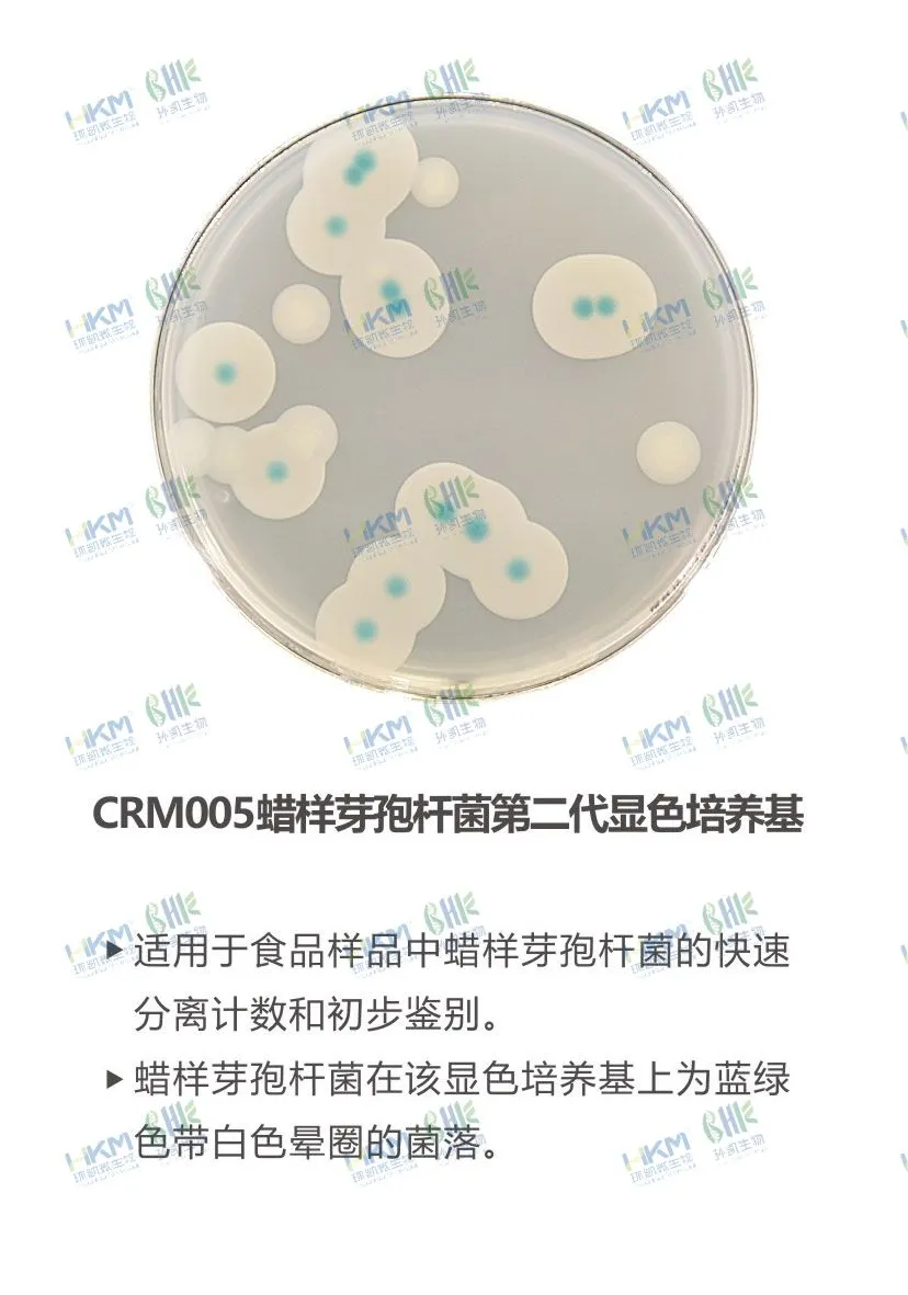 CRM005 蜡样芽孢杆菌显色培养基