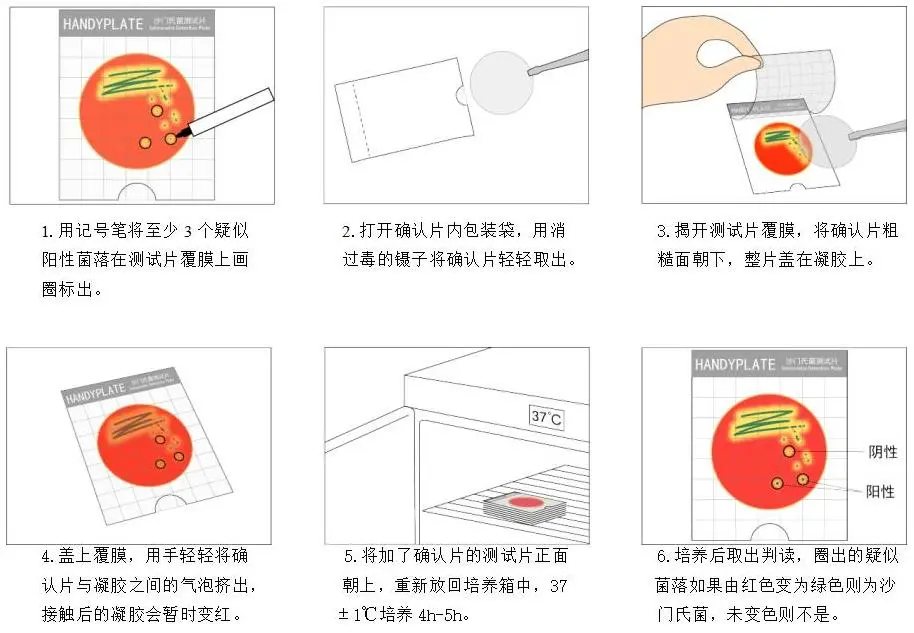 Handy plate&reg; 沙门氏确认反应片操作图解