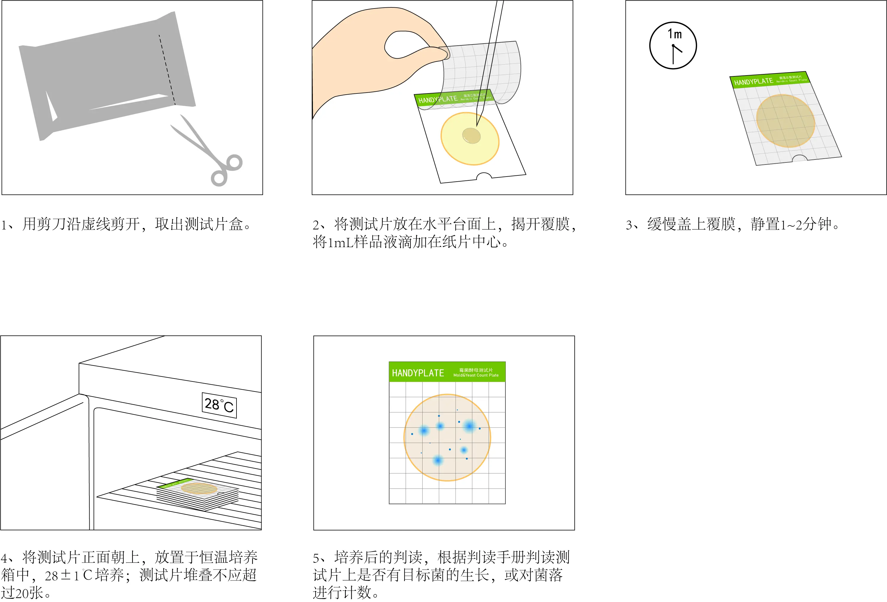 HandyPate&reg;霉菌酵母测试片使用操作教程