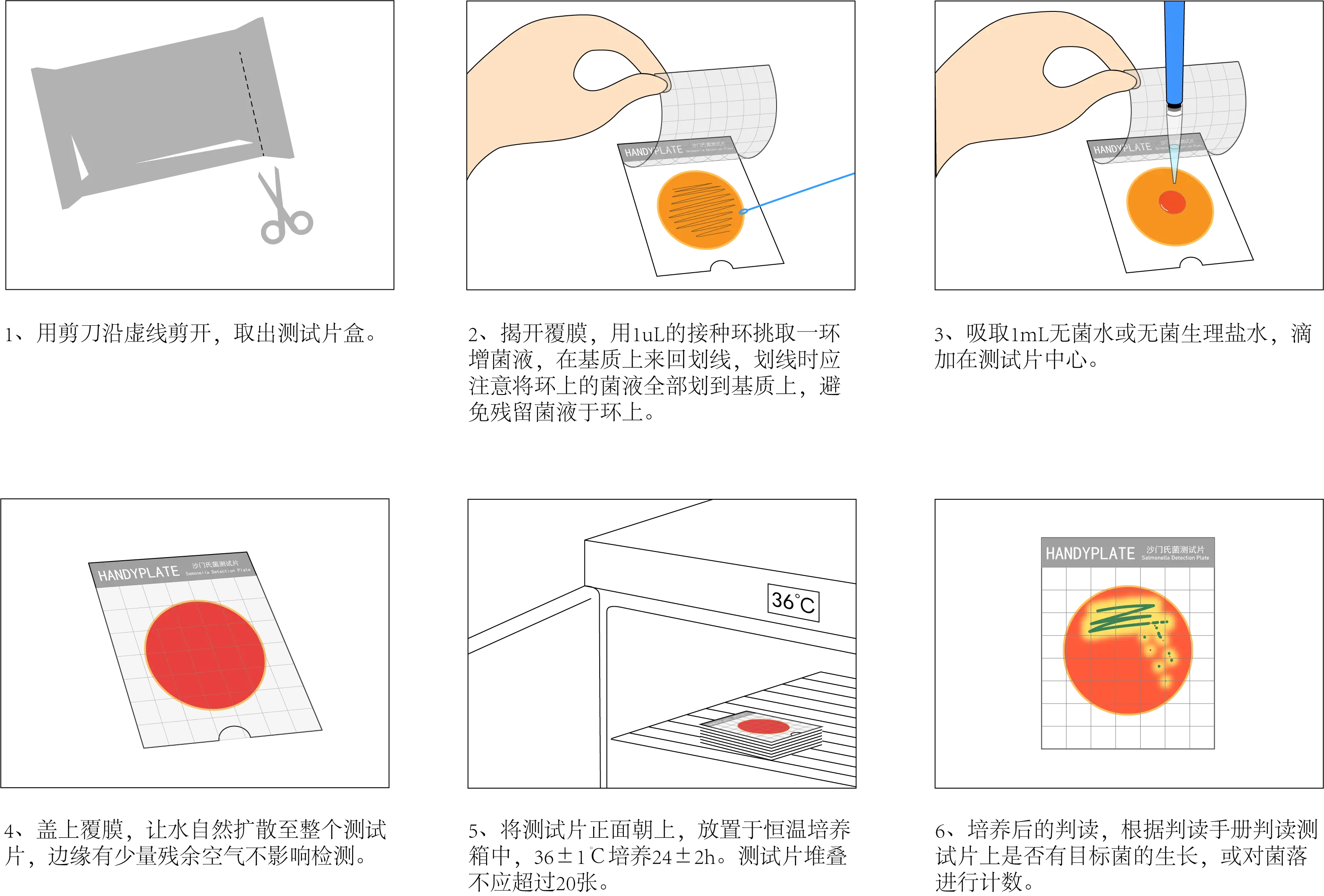 Handy plate&reg;沙门氏菌测试片 操作图解