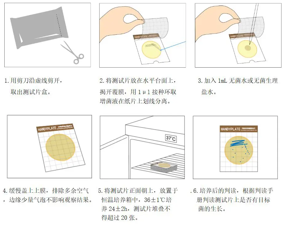 HandyPlate&reg;环境李斯特氏菌测试片定性检验操作图解