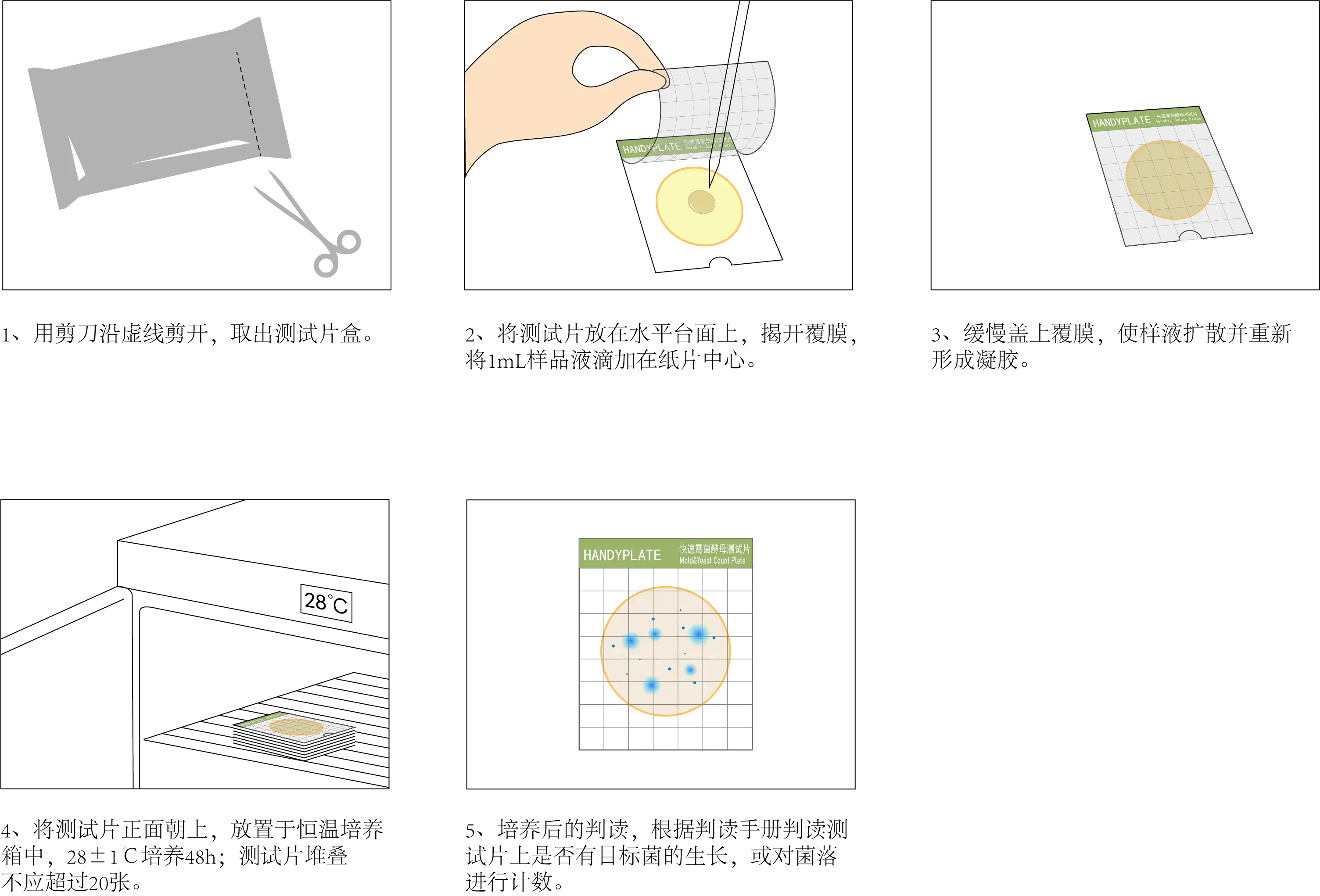 HandyPlate&reg;快速霉菌酵母测试片 操作图解