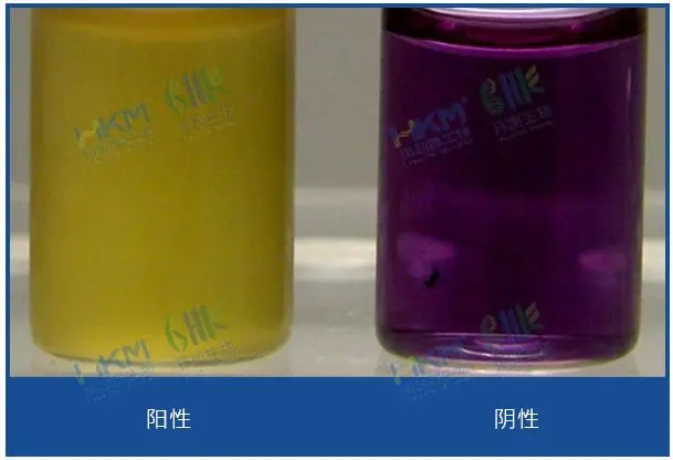 甘露醇发酵试验