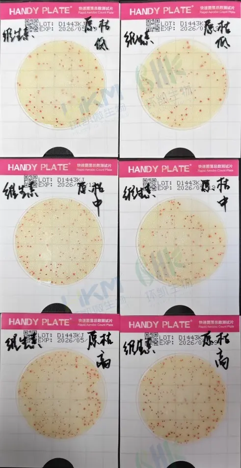 测试片 — 枯草芽孢杆菌ATCC6633