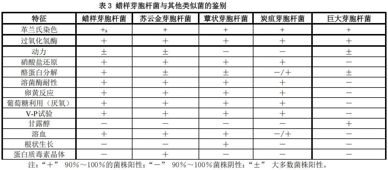 蜡样芽胞杆菌与其他类似菌的鉴别