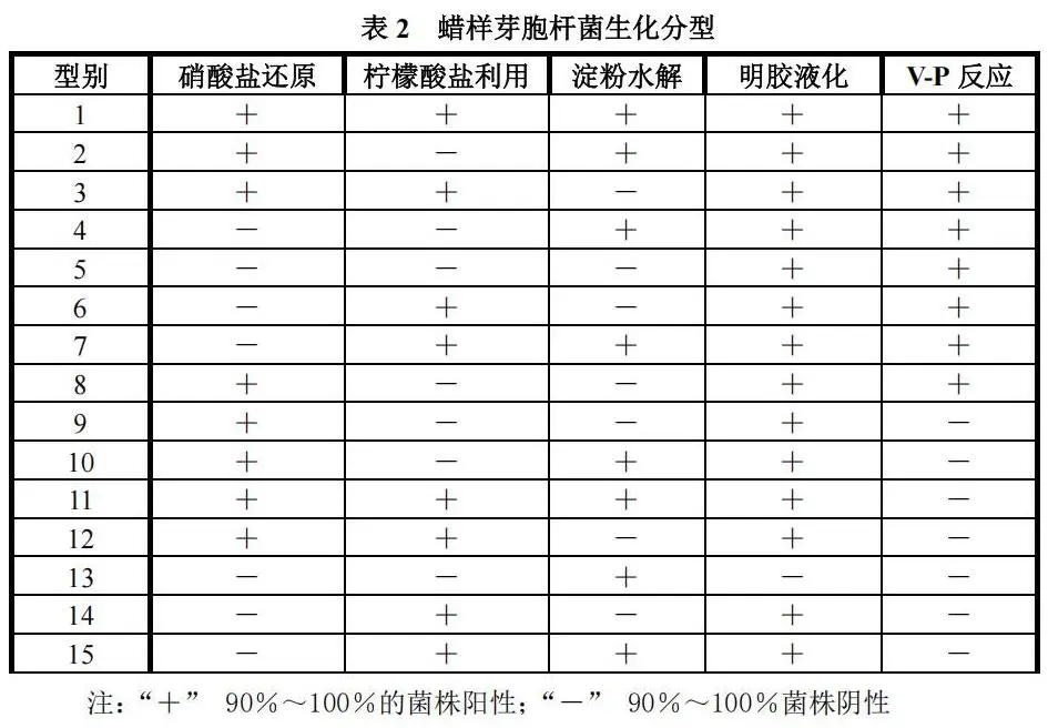 蜡样芽胞杆菌生化分型