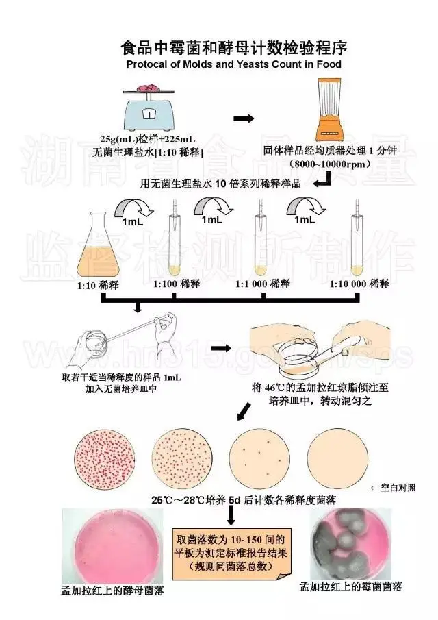 食品中霉菌和酵母计数检验程序