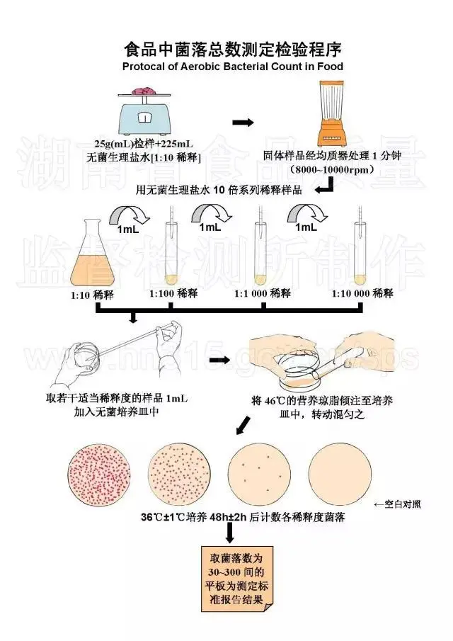 食品中菌落总数测定检验程序