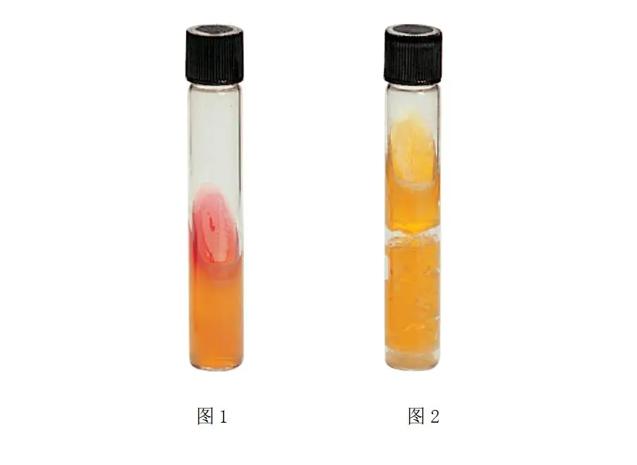 三糖铁实验酸性反应 三糖铁实验酸性反应
