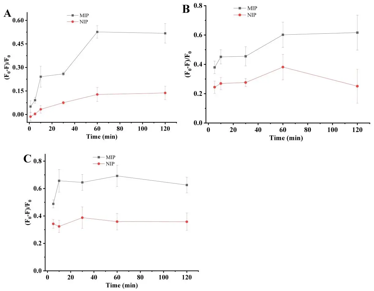 呈现 MIP 和 NIP FPMs 与目标细菌病原体的结合动力学关系,显示荧光信号随时间变化情况 呈现 MIP 和 NIP FPMs 与目标细菌病原体的结合动力学关系,显示荧光信号随时间变化情况