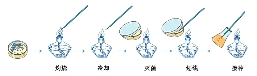 液体接种