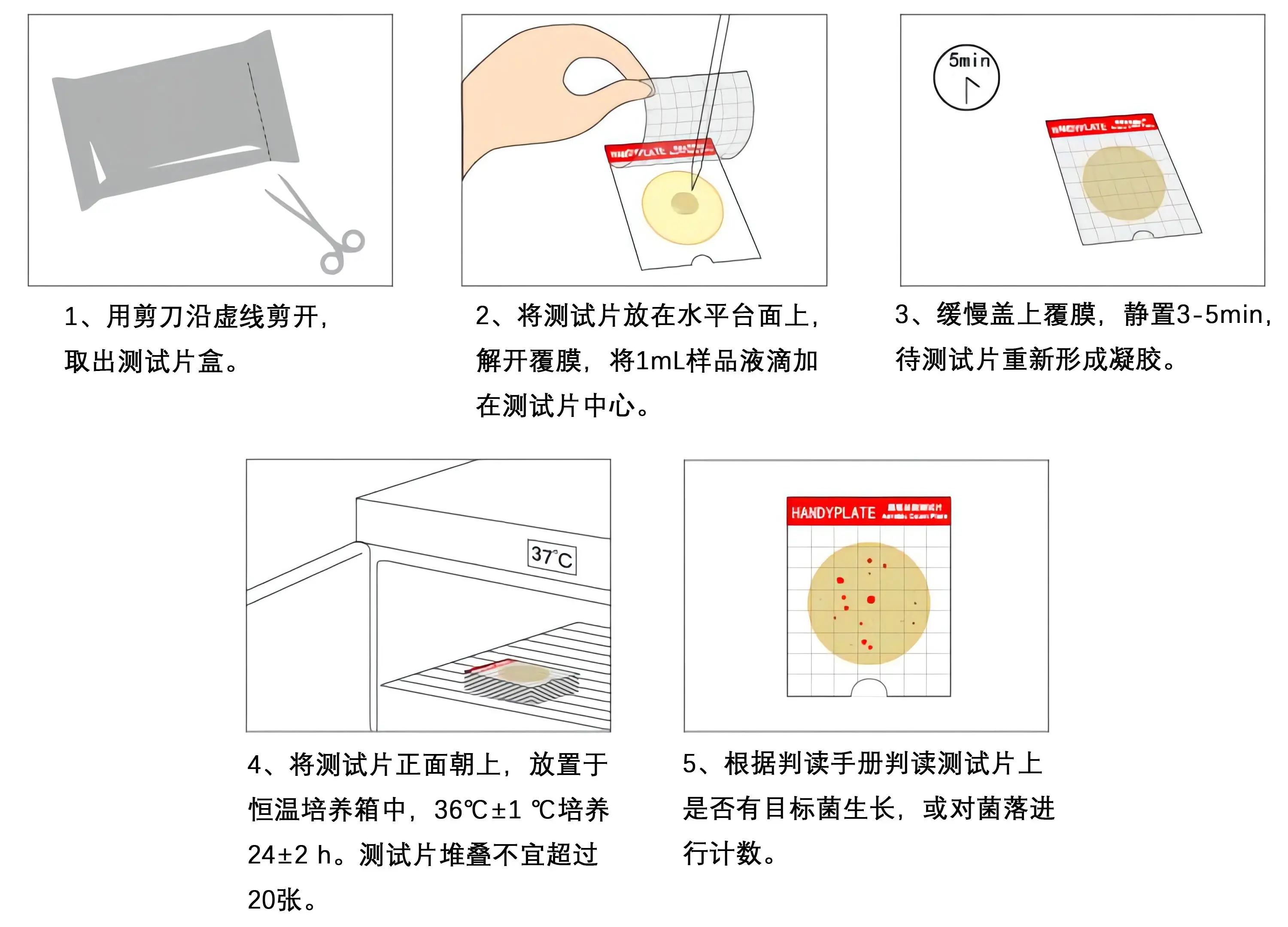 HandyPlate&reg;菌落总数测试片(微生物快速检测纸片)操作图解