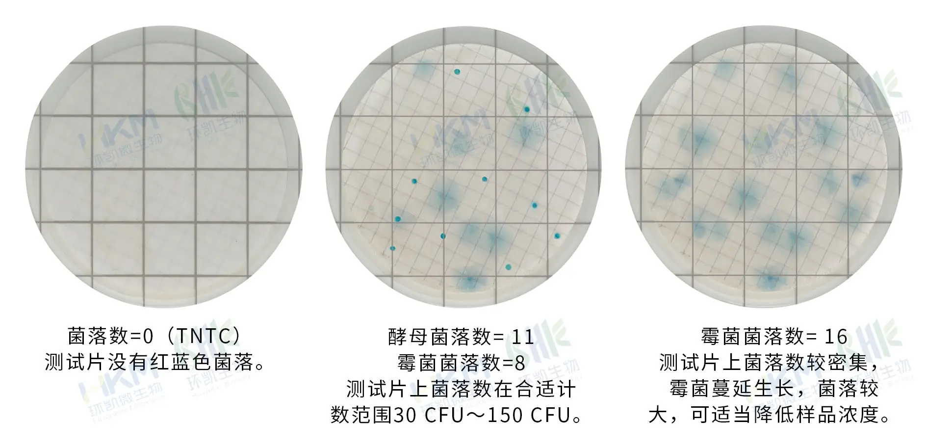 HandyPlate®快速霉菌酵母测试片(滤膜法) 判读手册 HandyPlate®快速霉菌酵母测试片(滤膜法) 判读手册