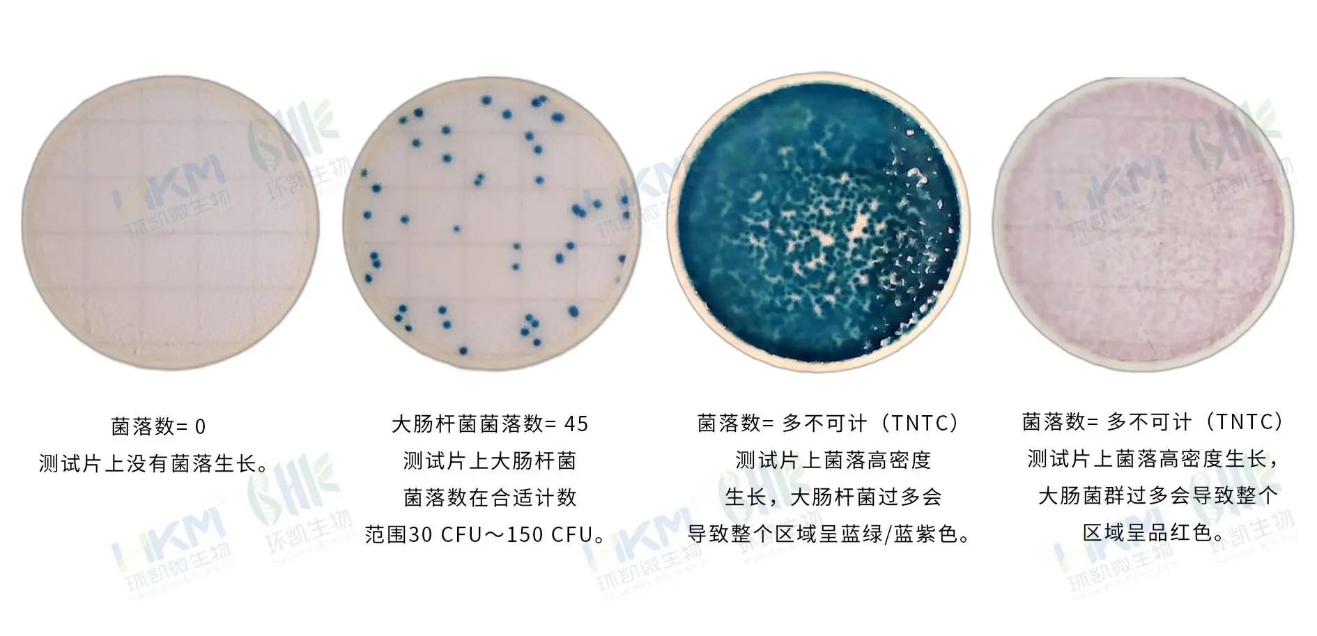 HandyPlate&reg;大肠杆菌&大肠菌群测试片