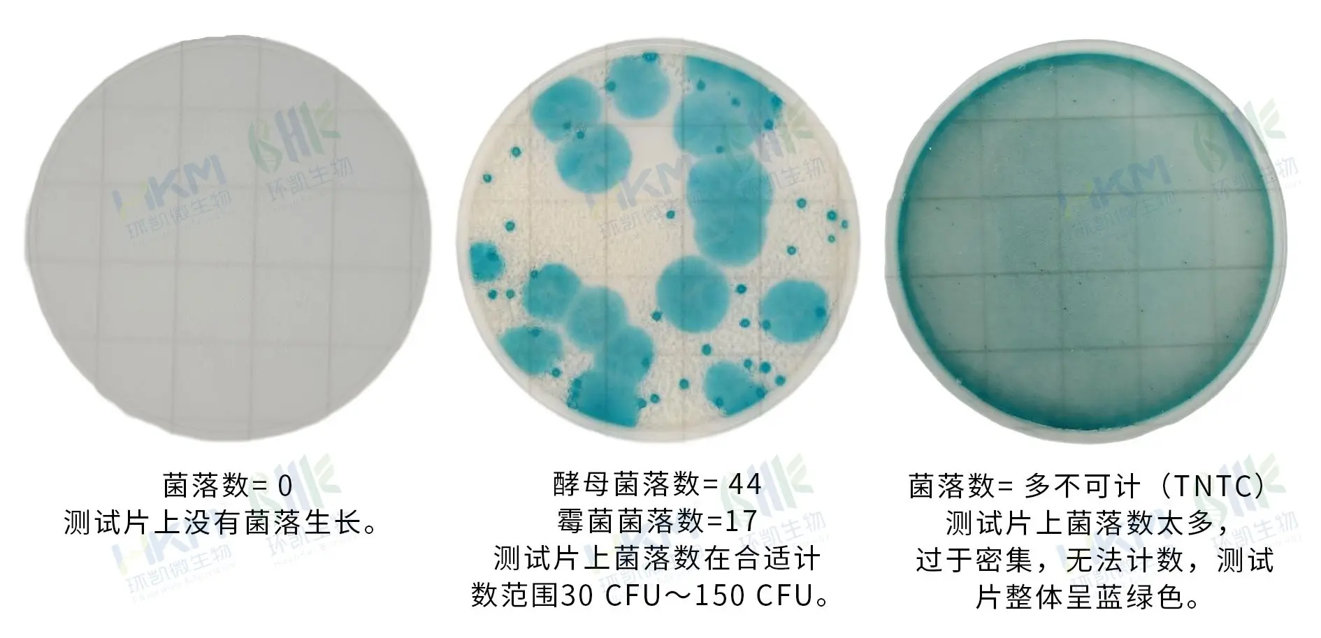 HandyPlate&reg;霉菌酵母测试片判读手册