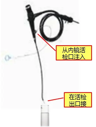 采样示意图 采样示意图