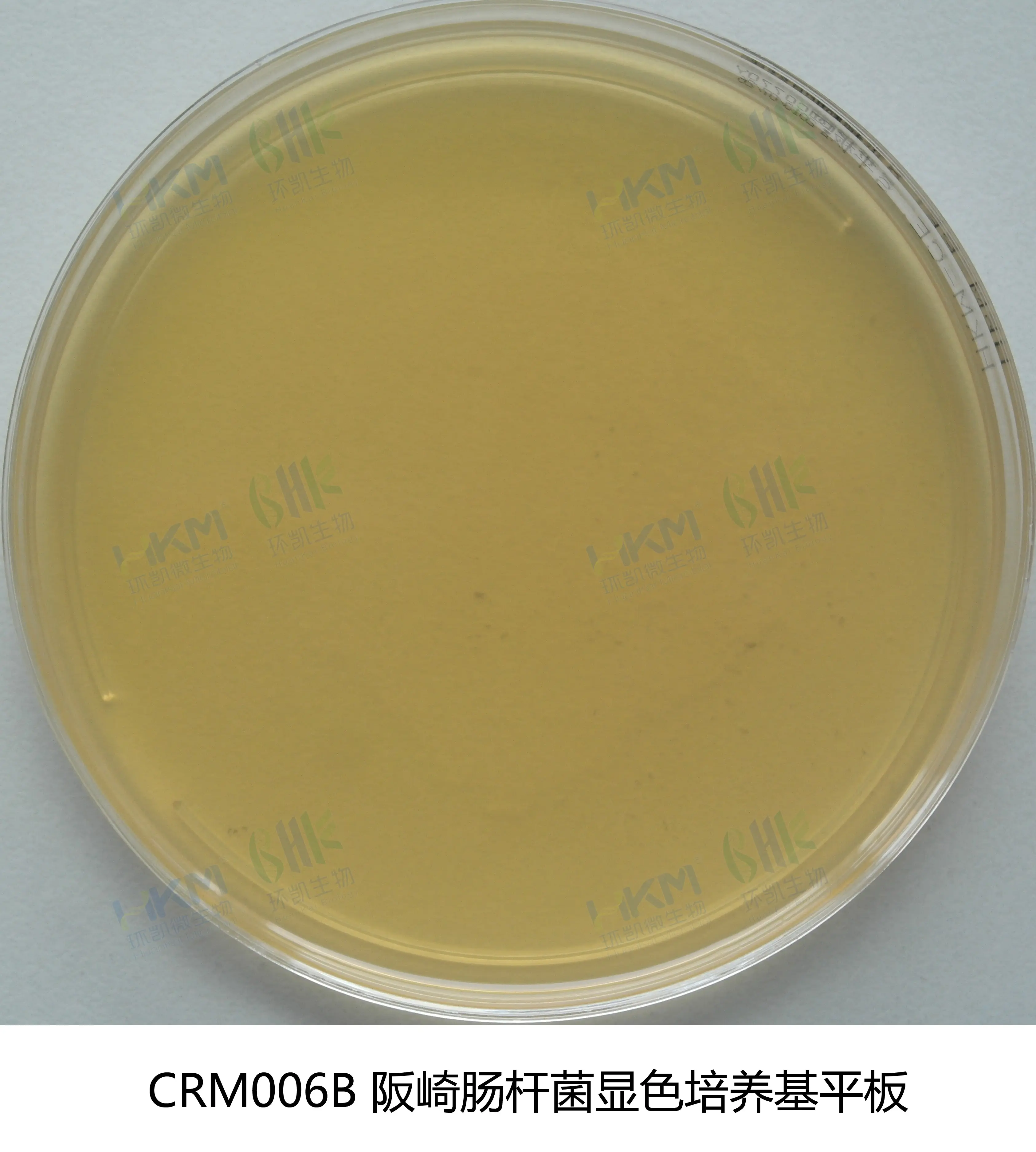 CRM006B 克罗诺杆菌(阪崎肠杆菌)显色平板培养基 90mm×20个 - 产品主图1