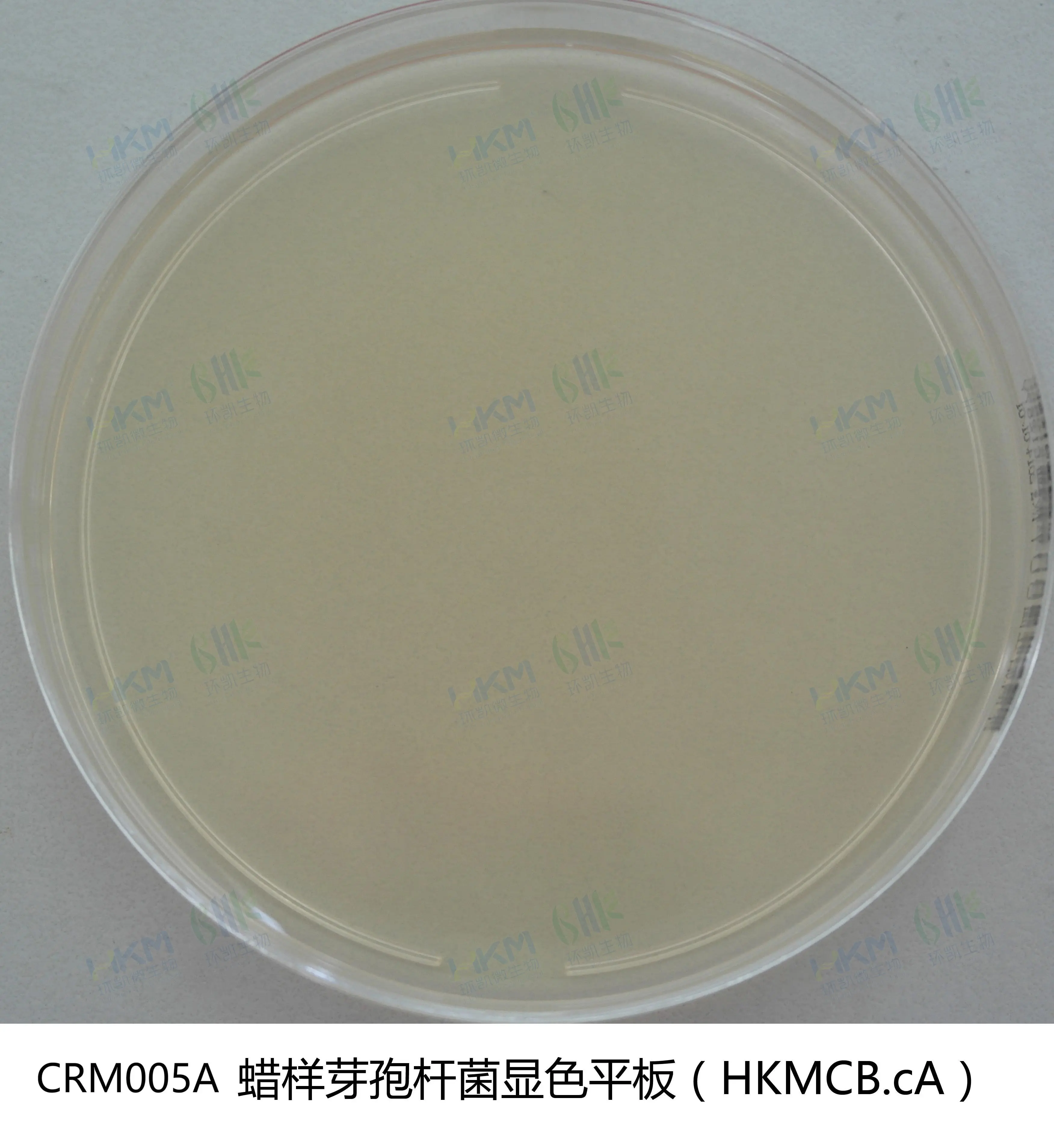 CRM005A 蜡样芽孢杆菌显色平板培养基 90mm×20个 - 产品主图1