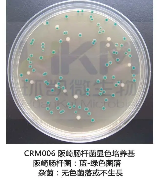 阪崎克罗诺杆菌显色培养基(DFI琼脂) 阪崎克罗诺杆菌显色培养基(DFI琼脂)