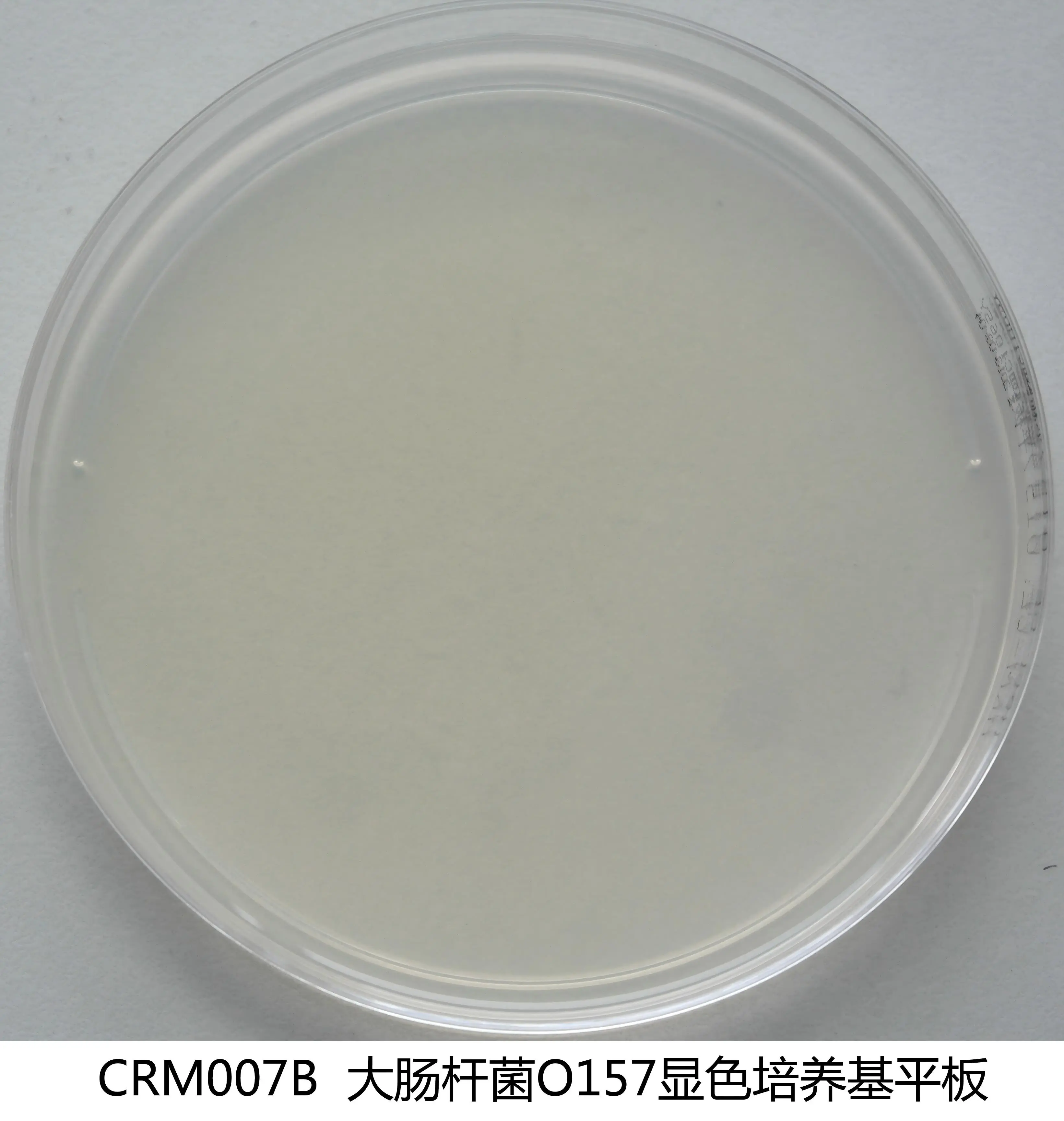 CRM007B 大肠杆菌O157显色平板培养基 90mm×20个 - 产品主图1