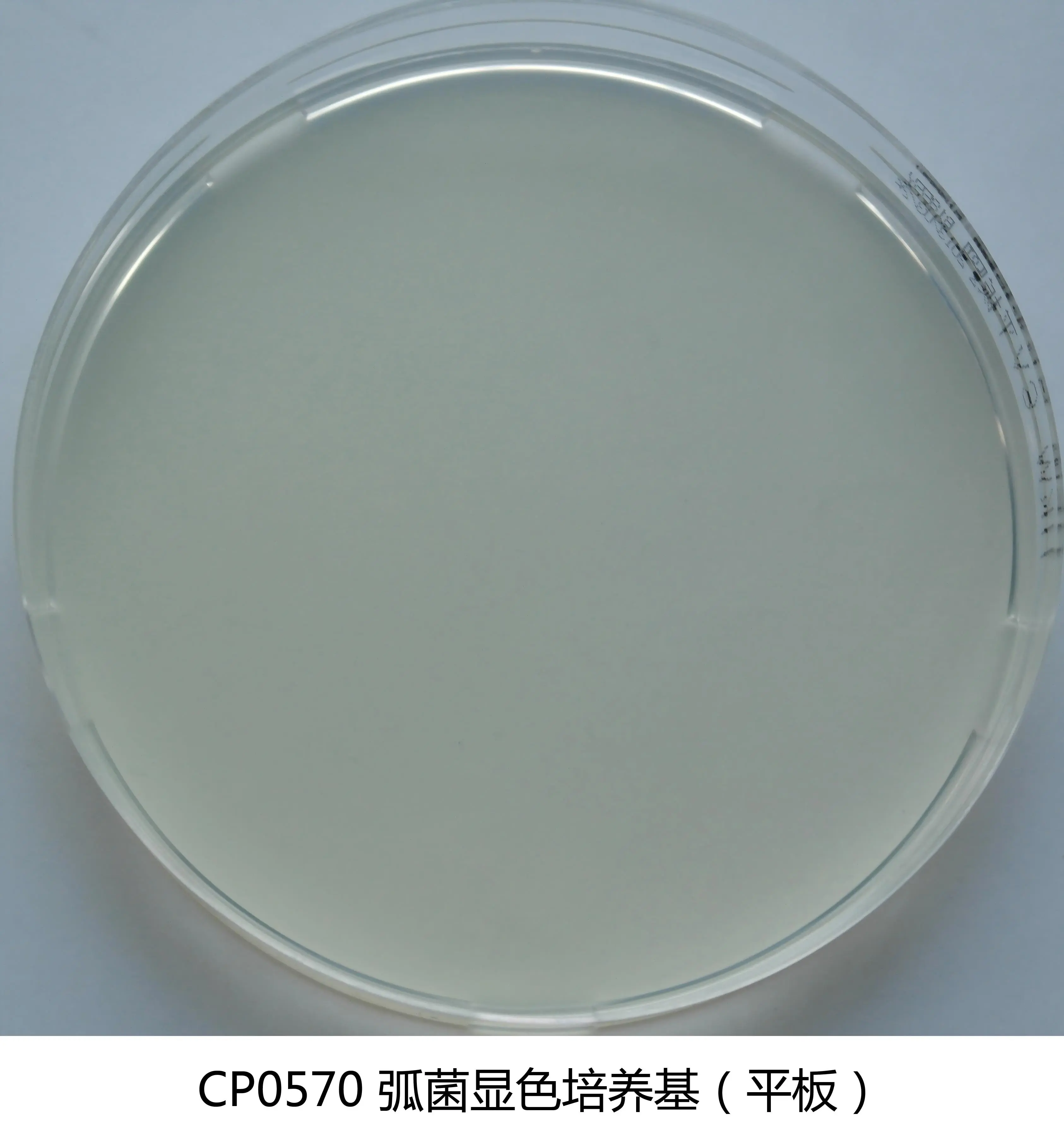 CP0570 弧菌显色培养基平板 90mm×20个 - 产品主图1