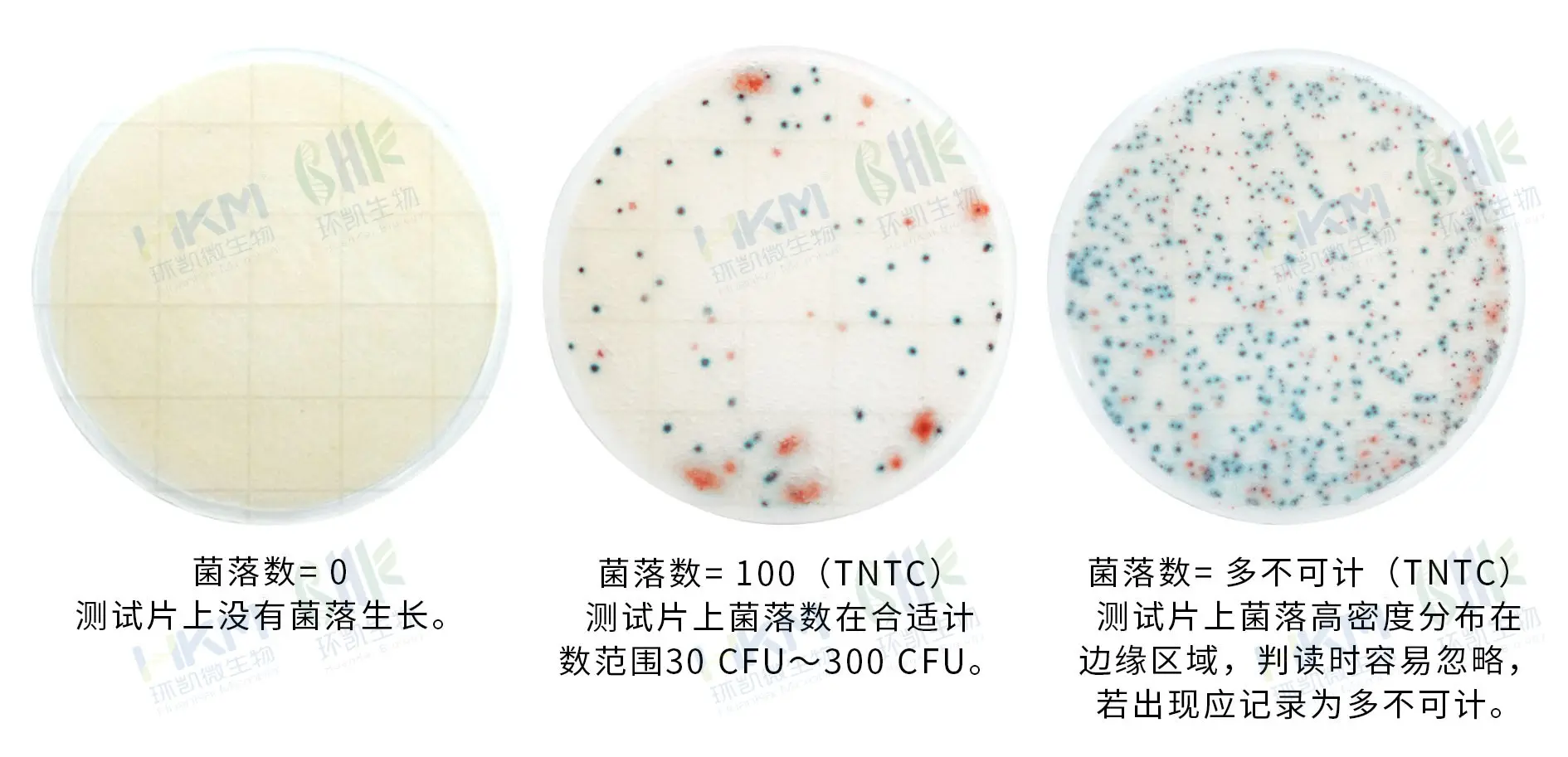 HandyPlate&reg;快速菌落总数测试片