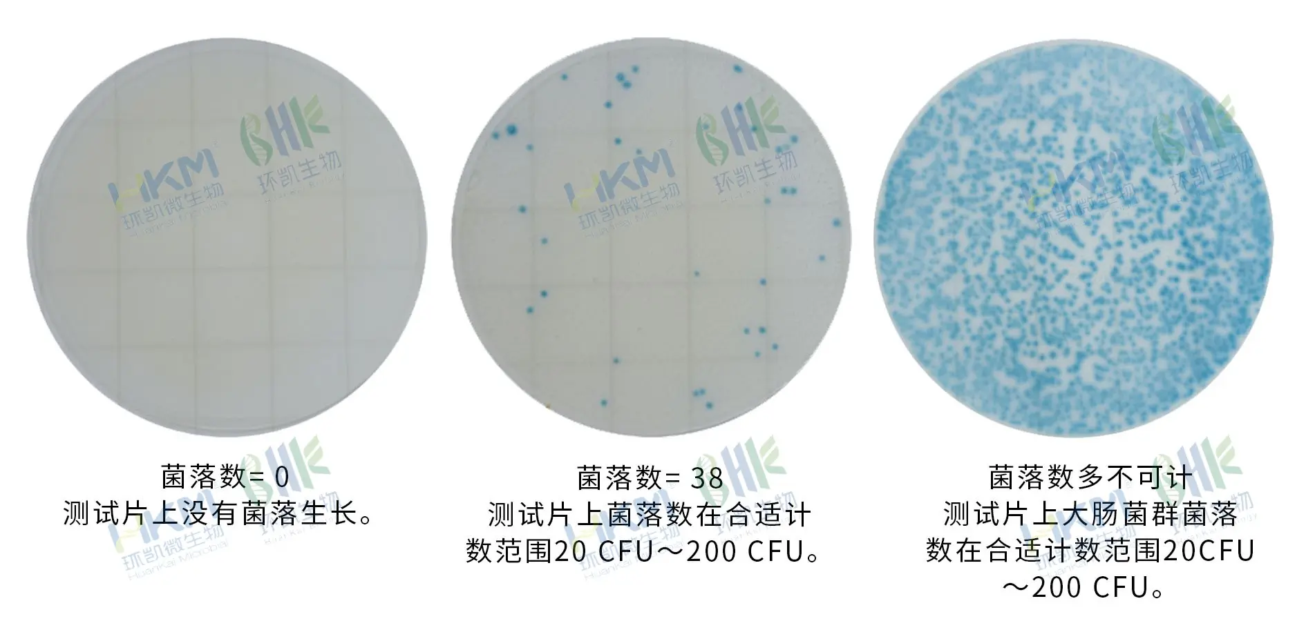 HandyPlate&reg;环境李斯特氏菌测试片