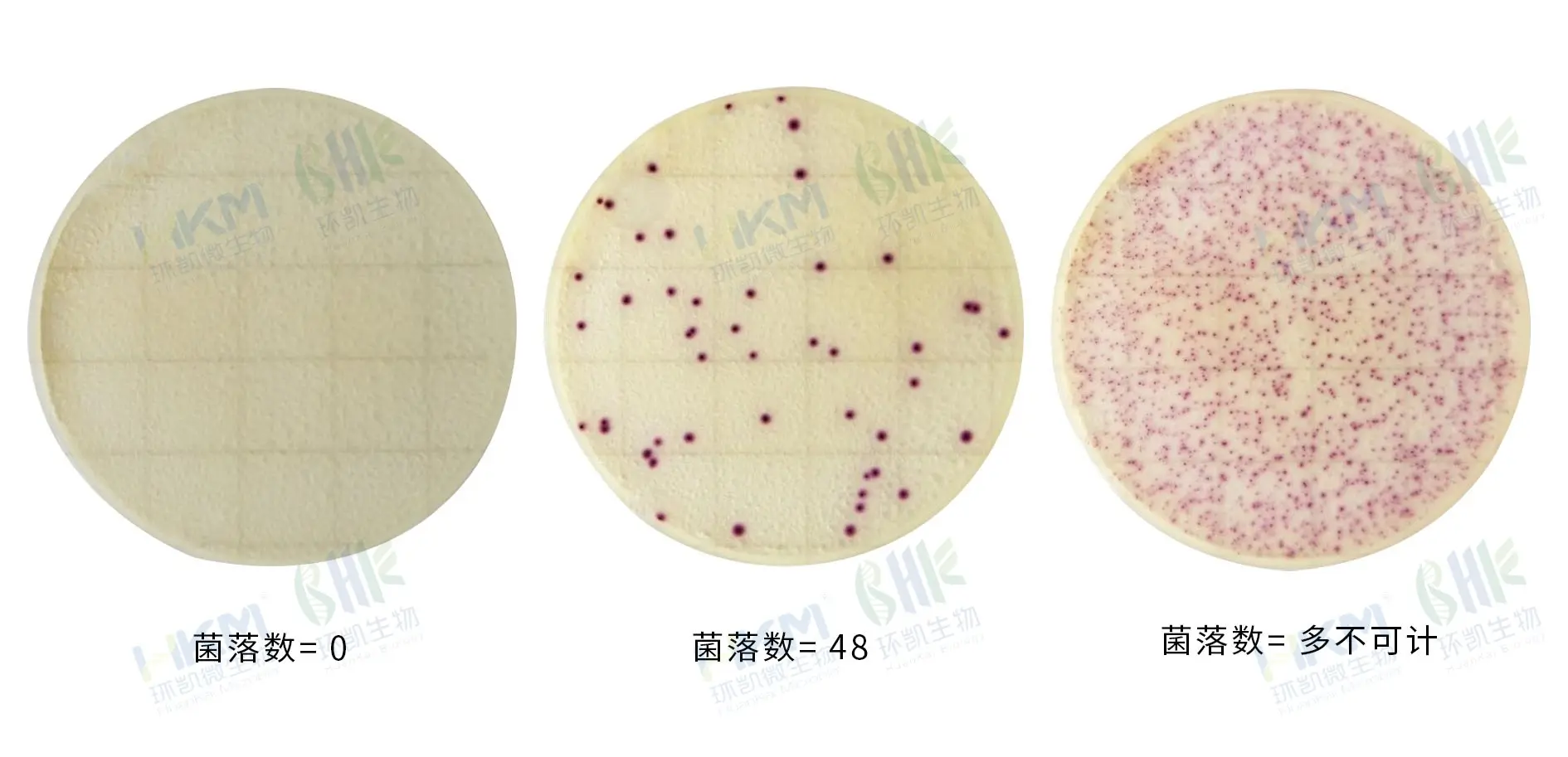 HandyPlate&reg;金黄色葡萄球菌测试片