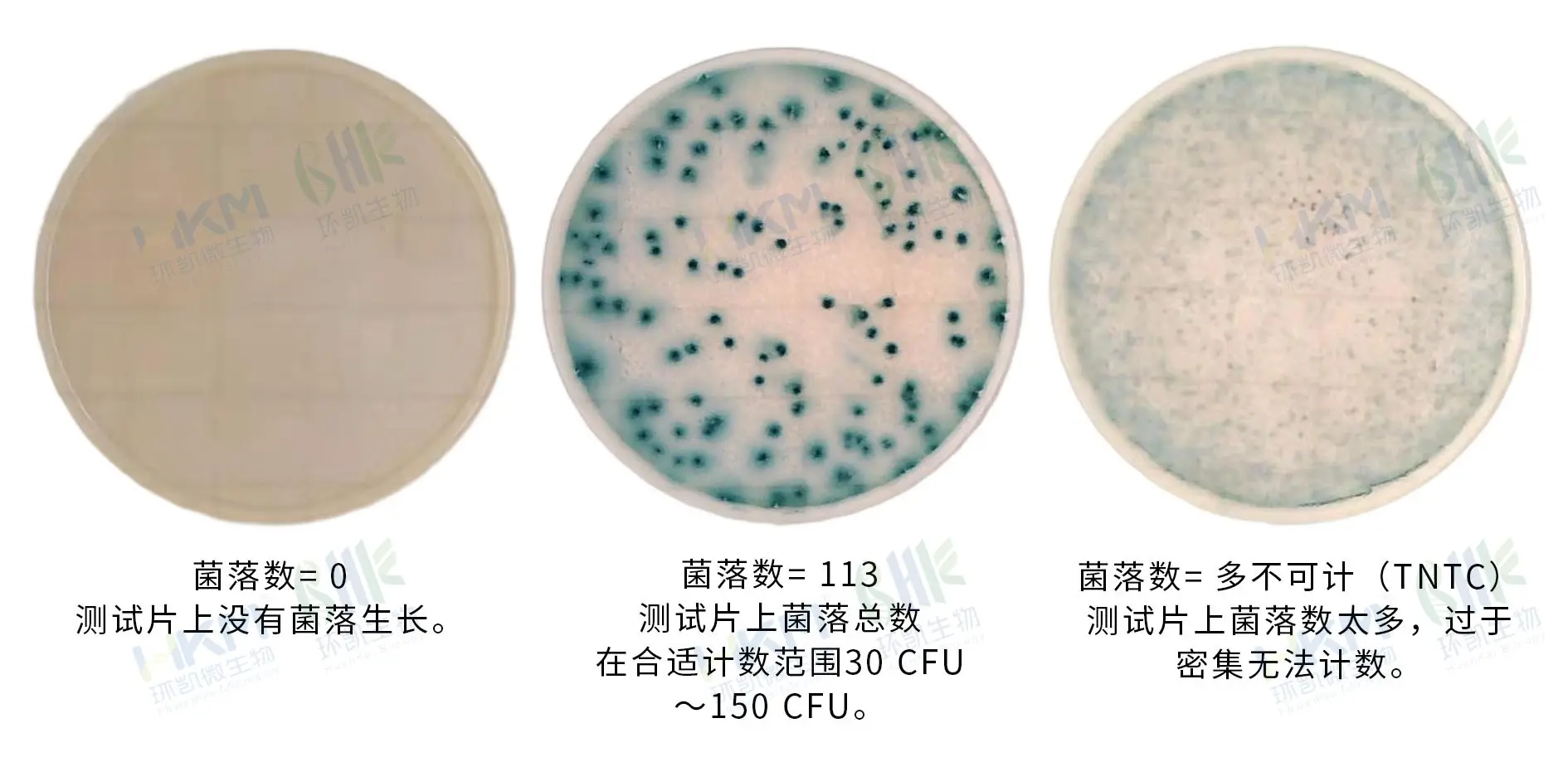 HandyPlate&reg;克罗诺杆菌测试片