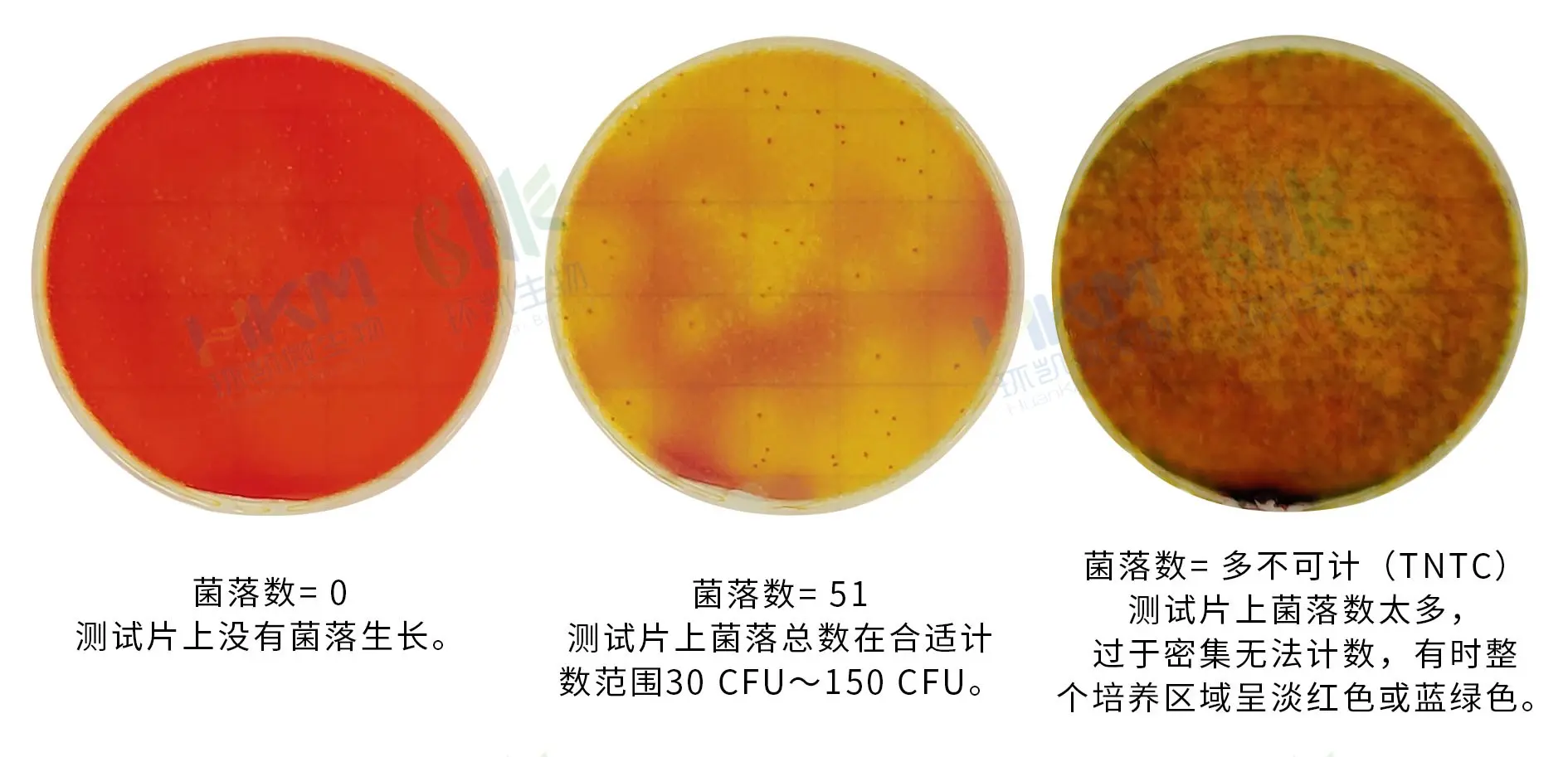 HandyPlate&reg;沙门氏菌测试片