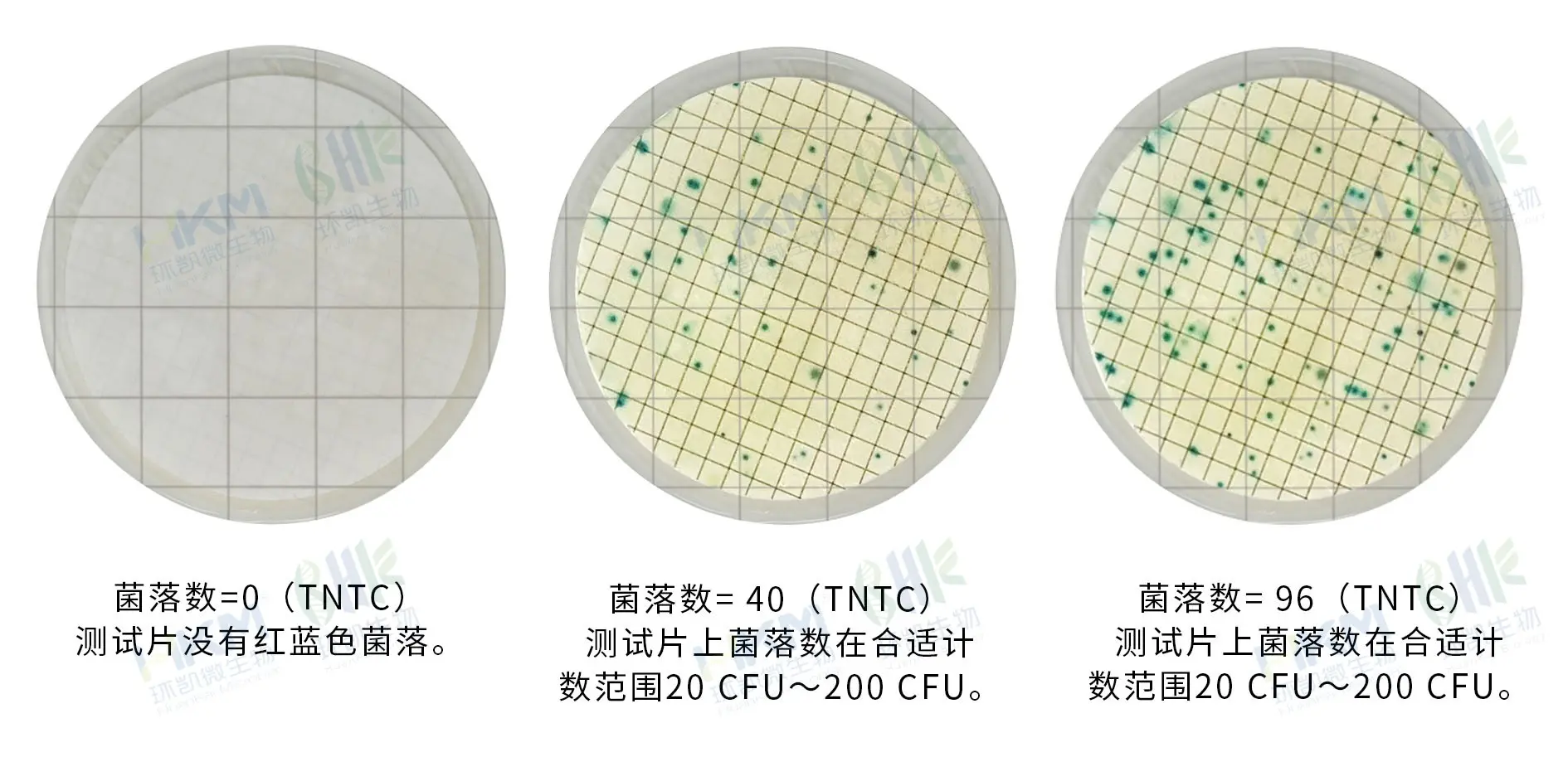 HandyPlate&reg;快速菌落总数测试片(滤膜法)