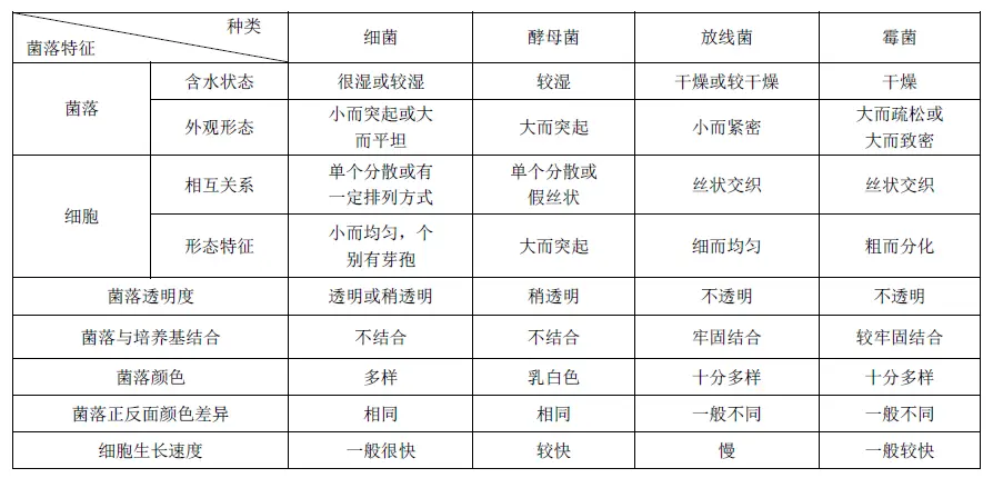 链霉菌和霉菌的区别