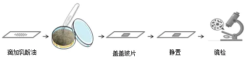 直接观察法