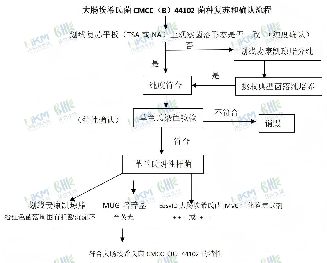 大肠埃希氏菌CMCC(B)44102菌种复苏和确认流程 大肠埃希氏菌CMCC(B)44102菌种复苏和确认流程
