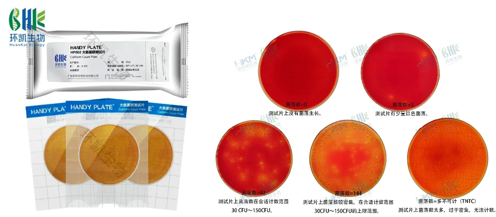 大肠菌群测试片(GB4789.3-2025)