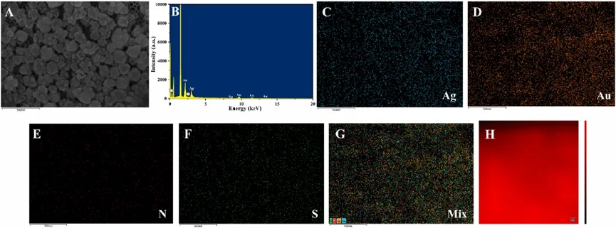 SEM(A), EDS (B), EDS mapping (C–G) and Raman mapping (H)Au/Ag FL@AAO-4-ATP纳米基底的表征的结果