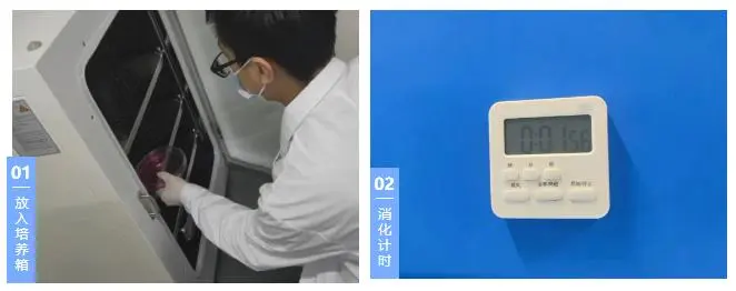 准备消化
