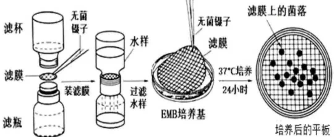 薄膜计数法